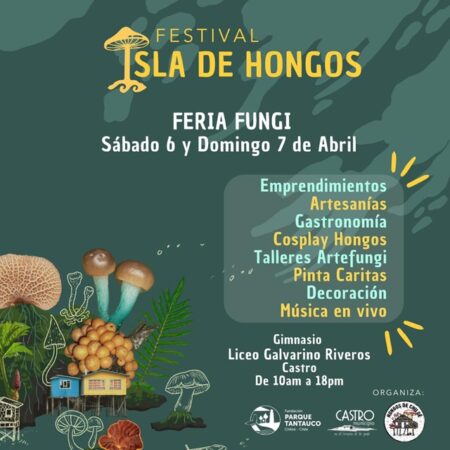 Festival Isla de Hongos