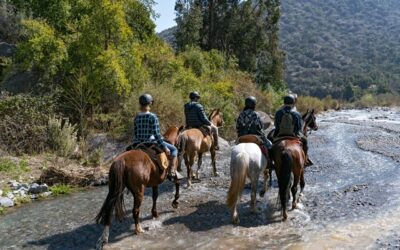 INDAP y Sernatur en trabajo conjunto para apoyar el turismo rural