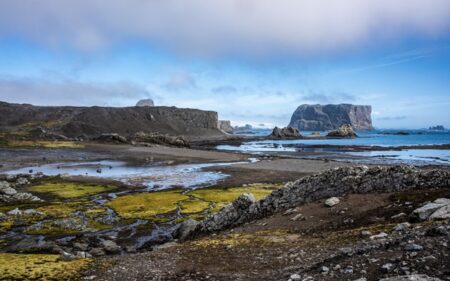 Sector elefantera, isla Rey Jorge