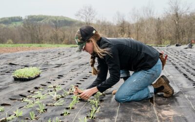 Más de 250 iniciativas sostenibles analizadas para el Reto 2025