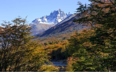 Región de Aysén consolida positiva temporada turística y proyecta desafíos