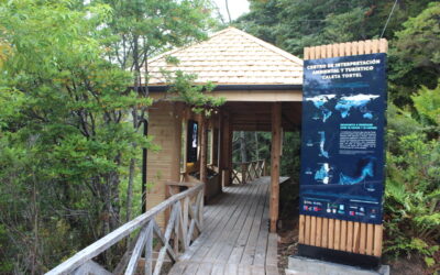 Centros de Interpretación Ambiental para turismo con base científica en Aysén