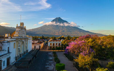 REMOTE Immersion Antigua impulsa cambio positivo del turismo en América Latina