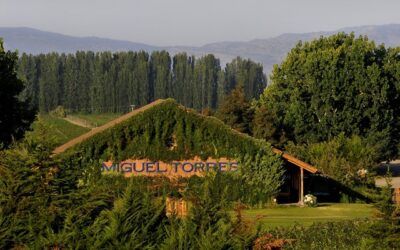 Miguel Torres Chile invita a celebrar a las madres con vinos orgánicos