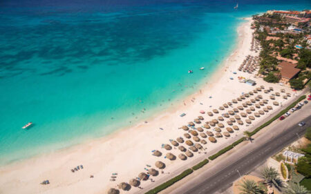 Palapa, Druif Beach, Aruba