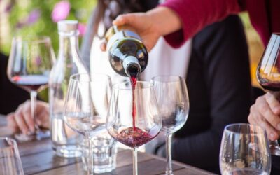 Enoturismo Chile lanza guía con más de 20 experiencias en viñas en Día de la Madre