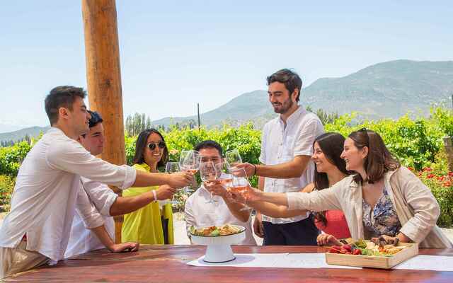 “Arma tu propio vino”: experiencia turística de moda en Valle de Colchagua