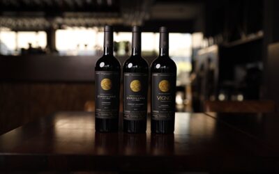 Celebra el Día del Padre con la colección de tintos Cordillera de los Andes