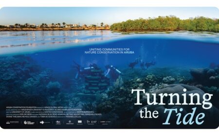 Cambiando el Rumbo (Turning the Tide)