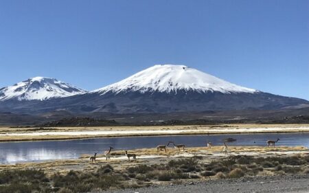 Reserva de la Biosfera Lauca Reserva de la Biosfera Lauca