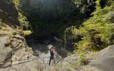 Palguín Adventure Park se alza como el foco del turismo aventura en Pucón