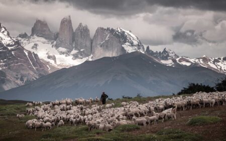 Premios Chile Naturaleza 2025
