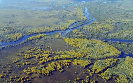 Pantanal Pantanal
