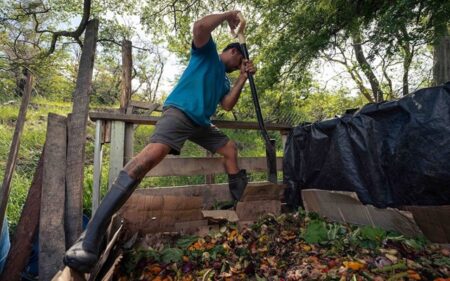 Compost fino Compost fino