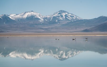 Puna de Atacama Puna de Atacama