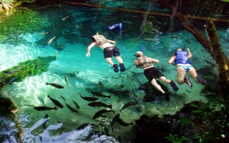 Aquario Encantado