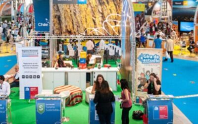 Gran asistencia marcó regreso de la Feria VYVA y se confirma versión 2026