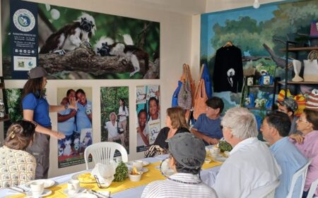 Fundación Proyecto Tití Fundación Proyecto Tití