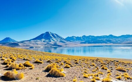 Atacama
