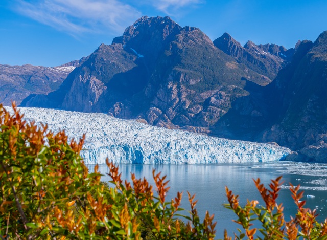 Glaciar San Rafael Glaciar San Rafael
