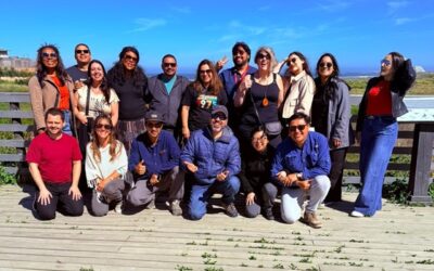 Asociación Brasileña de Operadores de Turismo conoció oferta de O’Higgins