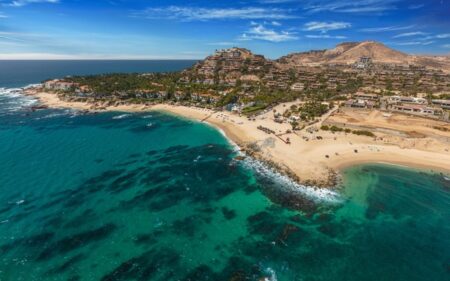 Palmilla Palmilla
