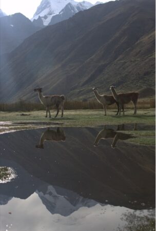 PromPerú