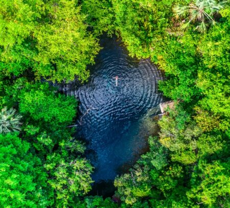 Reserva Ecológica Ojos Indígenas Reserva Ecológica Ojos Indígenas