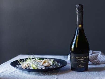 Cordillera Extra Brut Blanc de Noirs Cordillera Extra Brut Blanc de Noirs