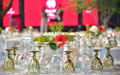 Restaurante Botánico de Viña Casas del Bosque recibió premio mundial