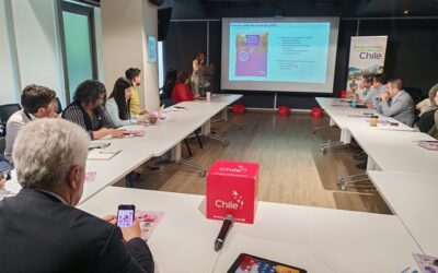 Nuevo Mapa Interactivo de Vendimias moderniza la experiencia enoturística