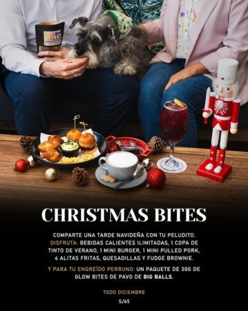 “Christmas Bites” “Christmas Bites”