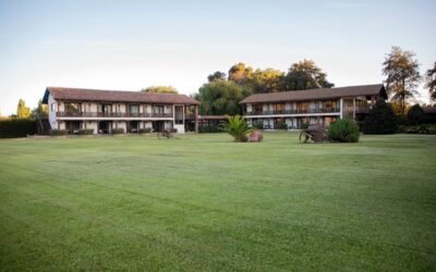 Valle de Colchagua: la escapada ideal a menos de dos horas de Santiago