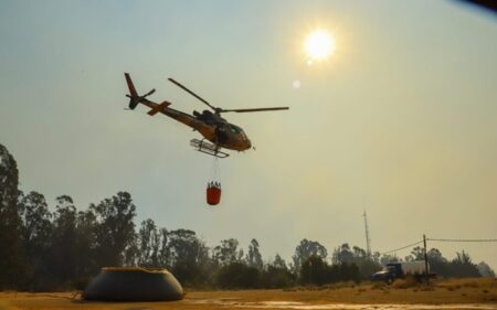 Incendios forestales Incendios forestales