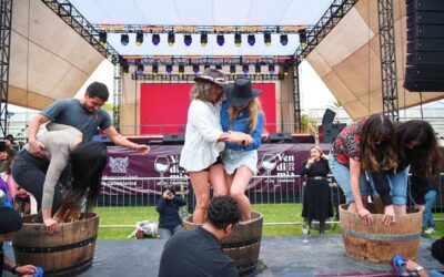 Casablanca ya se prepara para celebrar 12ª Fiesta de la Vendimia 2026