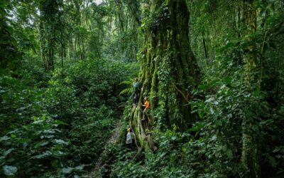 REMOTE Immersion 2026 se realizará del 4 al 8 de mayo en Boquete, Panamá