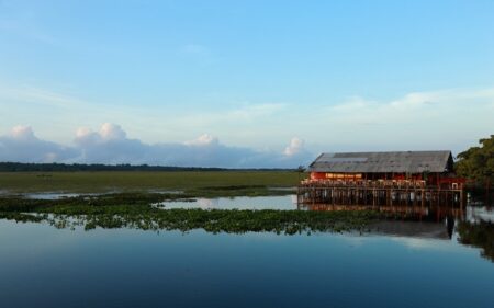 Amazonía Legal Brasileña