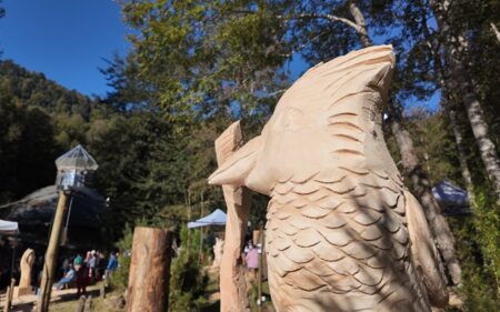 Concurso Internacional de Esculturas de Madera de la Fundación Huilo Huilo