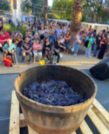 Santa Vendimia en Plaza Ñuñoa