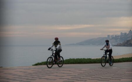 Viña del Mar