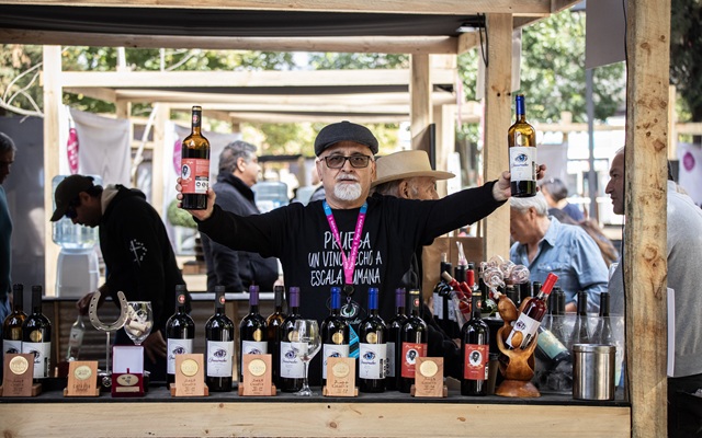 San Fernando celebrará su Fiesta de la Vendimia con 28 viñas y show musical