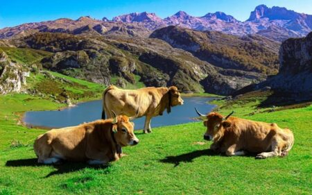 Asturias (España)
