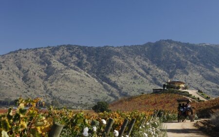 Colchagua