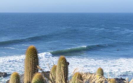Pichilemu