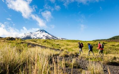 Vota por Chile en edición sudamericana de los World Travel Awards 2026
