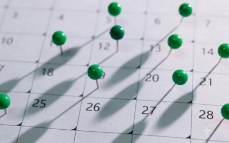 Entre junio y diciembre de 2026 quedan nueve feriados Entre junio y diciembre de 2026 quedan nueve feriados