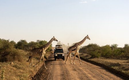shutterstock_2686910121 África