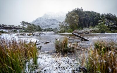 Experiencias de lujo consciente en territorios remotos de Magallanes