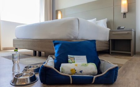 Residence Inn by Marriott de Cancún, Playa del Carmen y Mérida han fortalecido su propuesta pet friendly Residence Inn by Marriott de Cancún, Playa del Carmen y Mérida han fortalecido su propuesta pet friendly