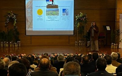 Directora ejecutiva de CONAF traza hoja de ruta de Servicio Nacional Forestal